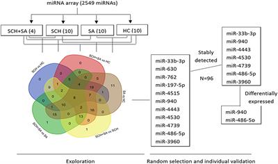 Circulating MicroRNA Profile as a Potential Predictive Biomarker for Early Diagnosis of Spontaneous Abortion in Patients With Subclinical Hypothyroidism